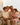 Test grands-parents